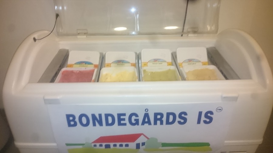 Den store is disk med Bondegårds Is og plads til 20 liter